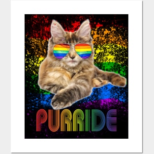 Pride Cat LGBT Gay Lesbian Posters and Art